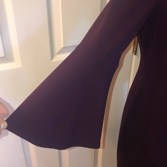 Classic ElegantCalvin Klein Burgundy Fall/Winter Dress - Picture 5 of 12